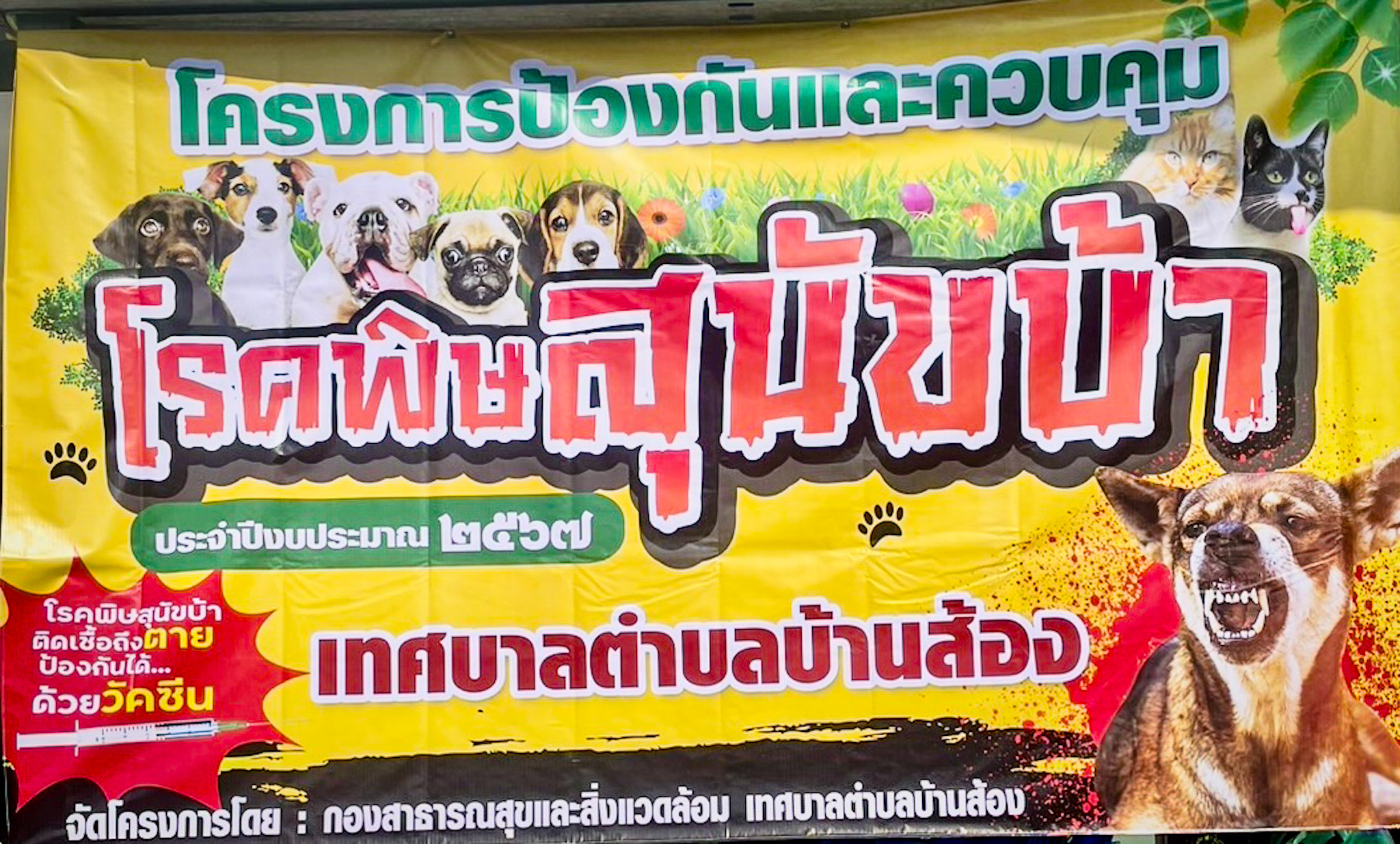 "โครงการป้องกันและควบคุม โรคพิษสุนัขบ้า ประจำปีงบประมาณ 2567  โดยเริ่มให้บริการตั้งแต่วันที่ 12-22 มีนาคม  2567"